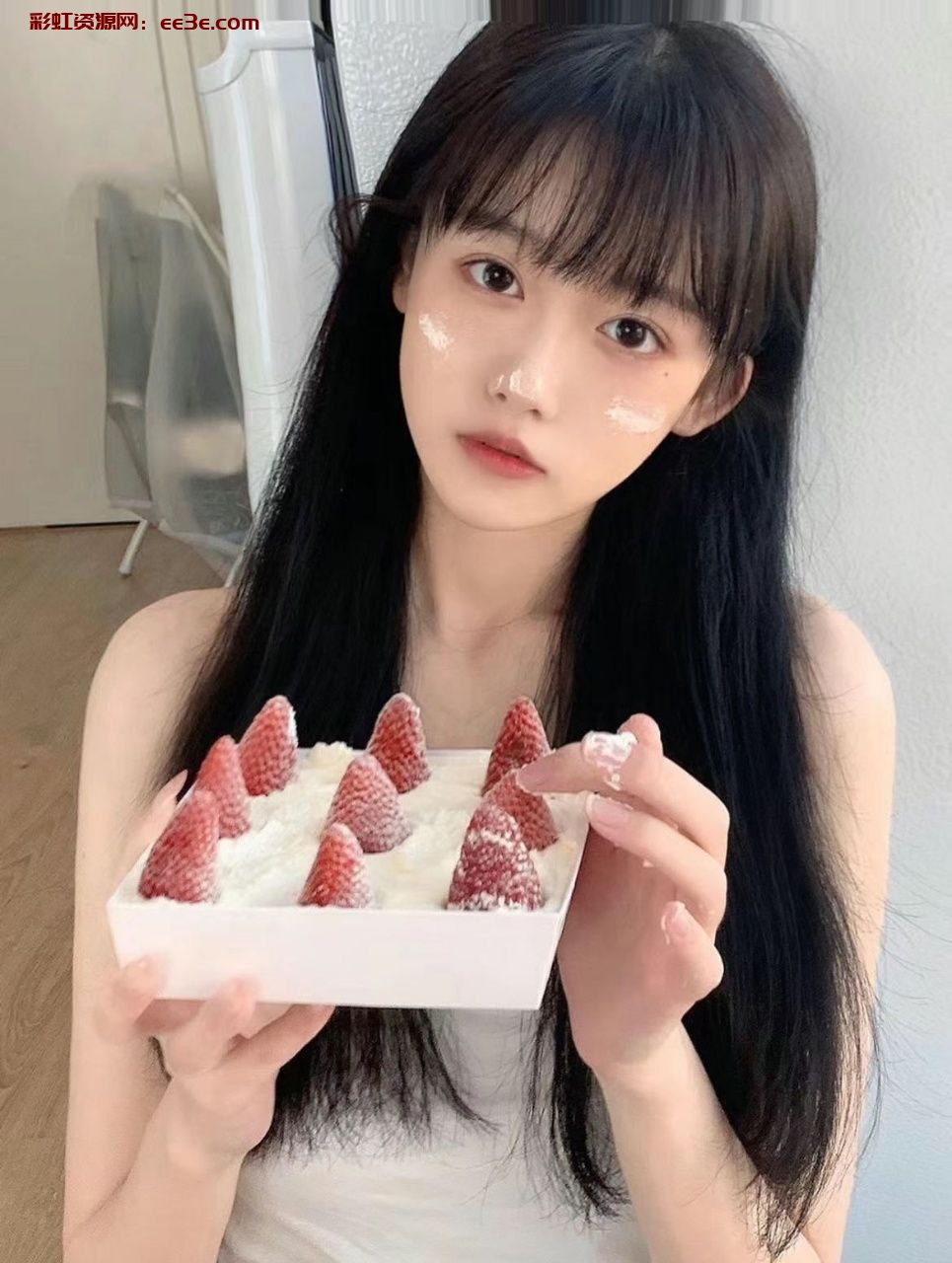 成都 猫猫推荐